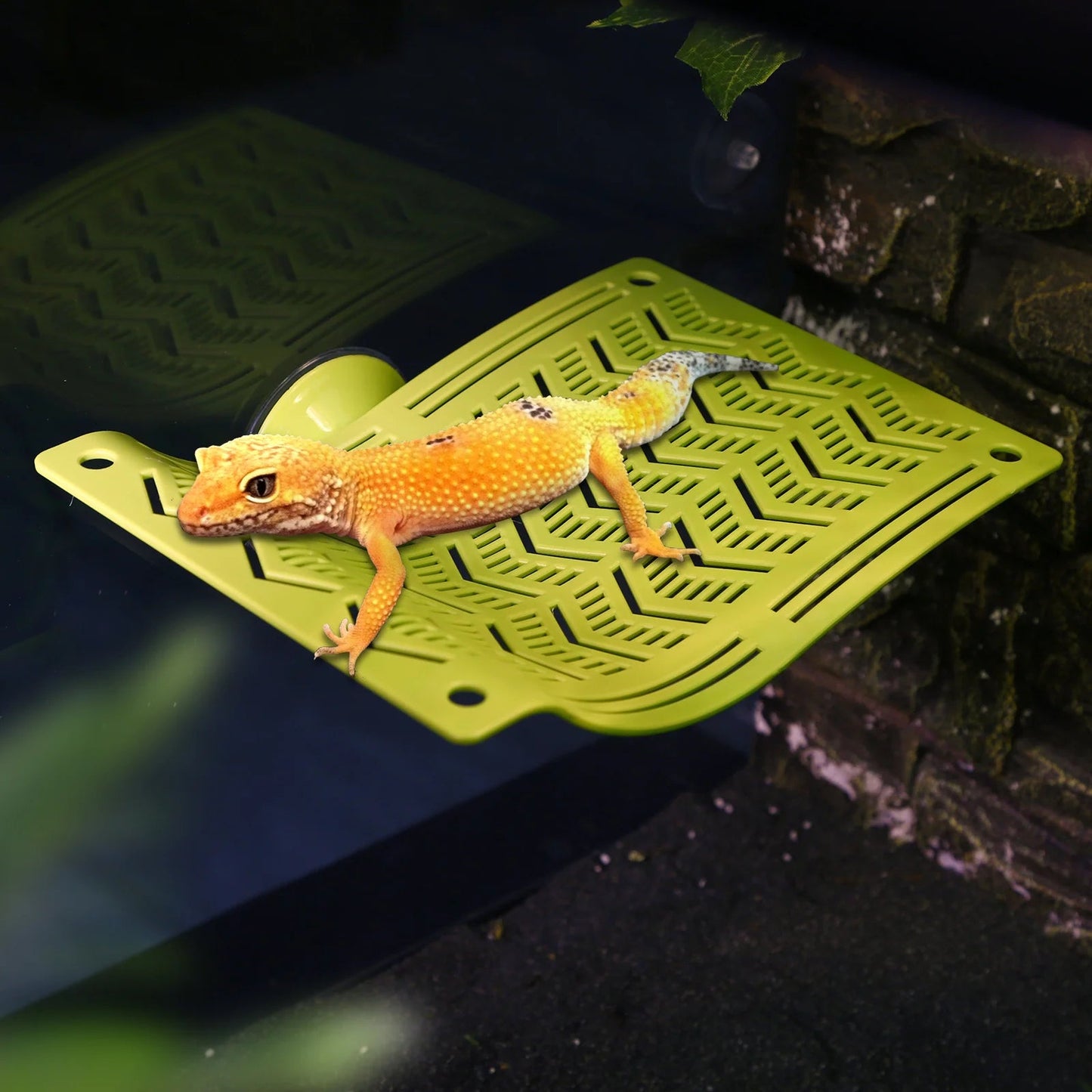 Wholesale Bulk 1pc Reptile Hammock Swing Perch, Durable Plastic Climbing Hanging Bed for Lizards, Geckos, Frogs, Snakes, Spiders - Pet Play - Furbury