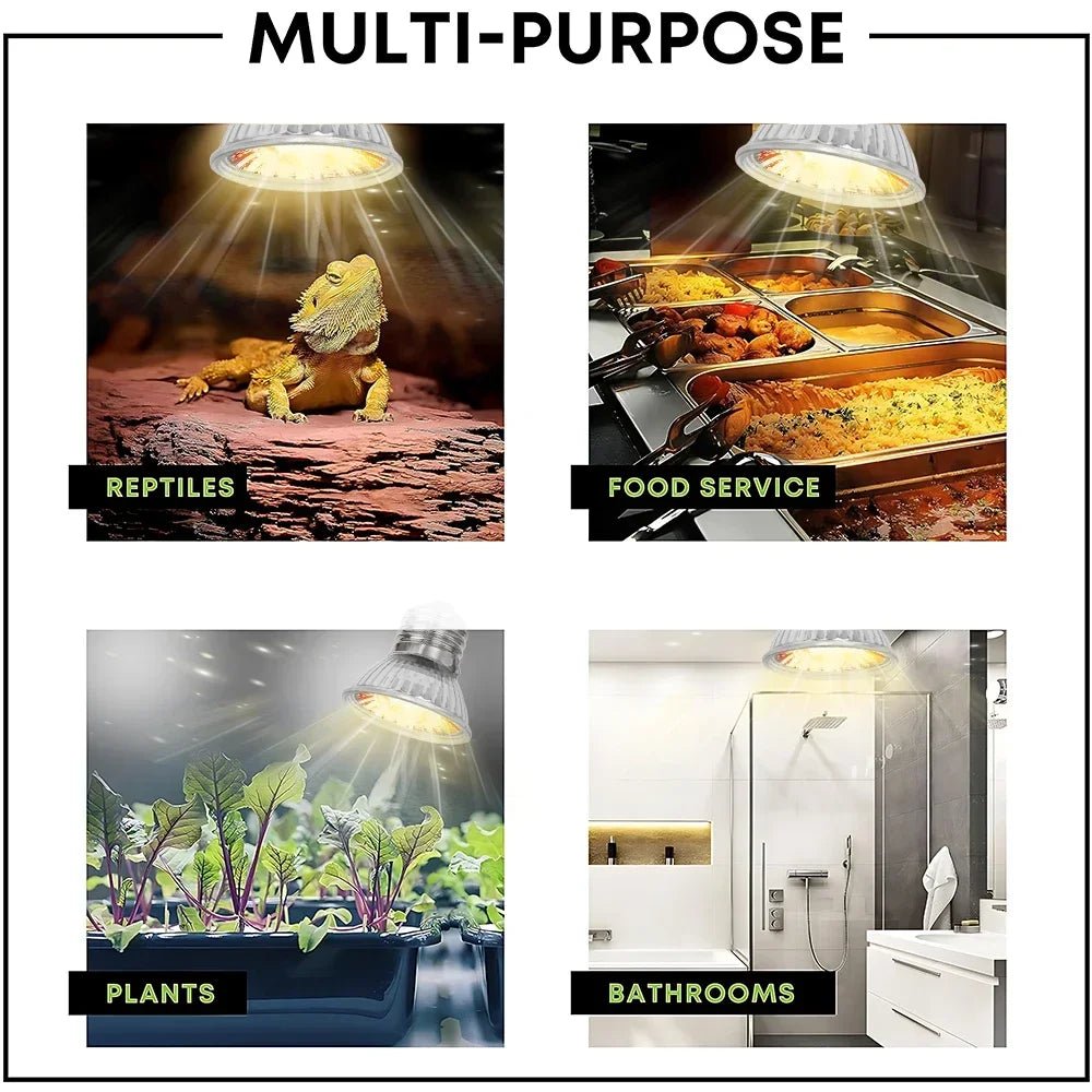 Wholesale Bulk 25/50/75W UVB Reptile Lamp Bulb Tortoise Basking UV E27 Bulbs Amphibians Pet Snake Lizard Heating Sunlamp Calcium Supplement - Furbury