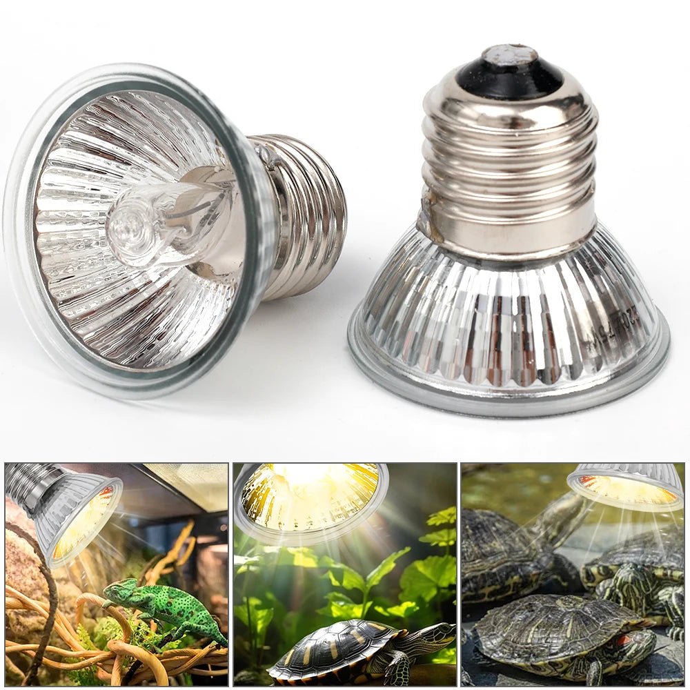 Wholesale Bulk 25/50/75W UVB Reptile Lamp Bulb Tortoise Basking UV E27 Bulbs Amphibians Pet Snake Lizard Heating Sunlamp Calcium Supplement - Furbury