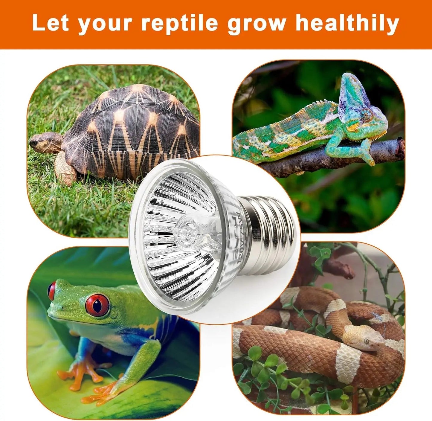 Wholesale Bulk 25/50/75W UVB Reptile Lamp Bulb Tortoise Basking UV E27 Bulbs Amphibians Pet Snake Lizard Heating Sunlamp Calcium Supplement - Furbury