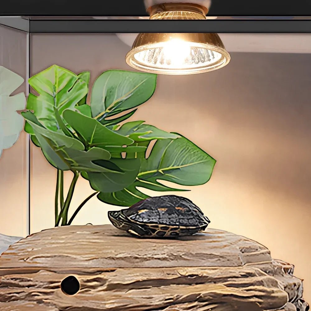 Wholesale Bulk 25/50/75W UVB Reptile Lamp Bulb Tortoise Basking UV E27 Bulbs Amphibians Pet Snake Lizard Heating Sunlamp Calcium Supplement - Furbury