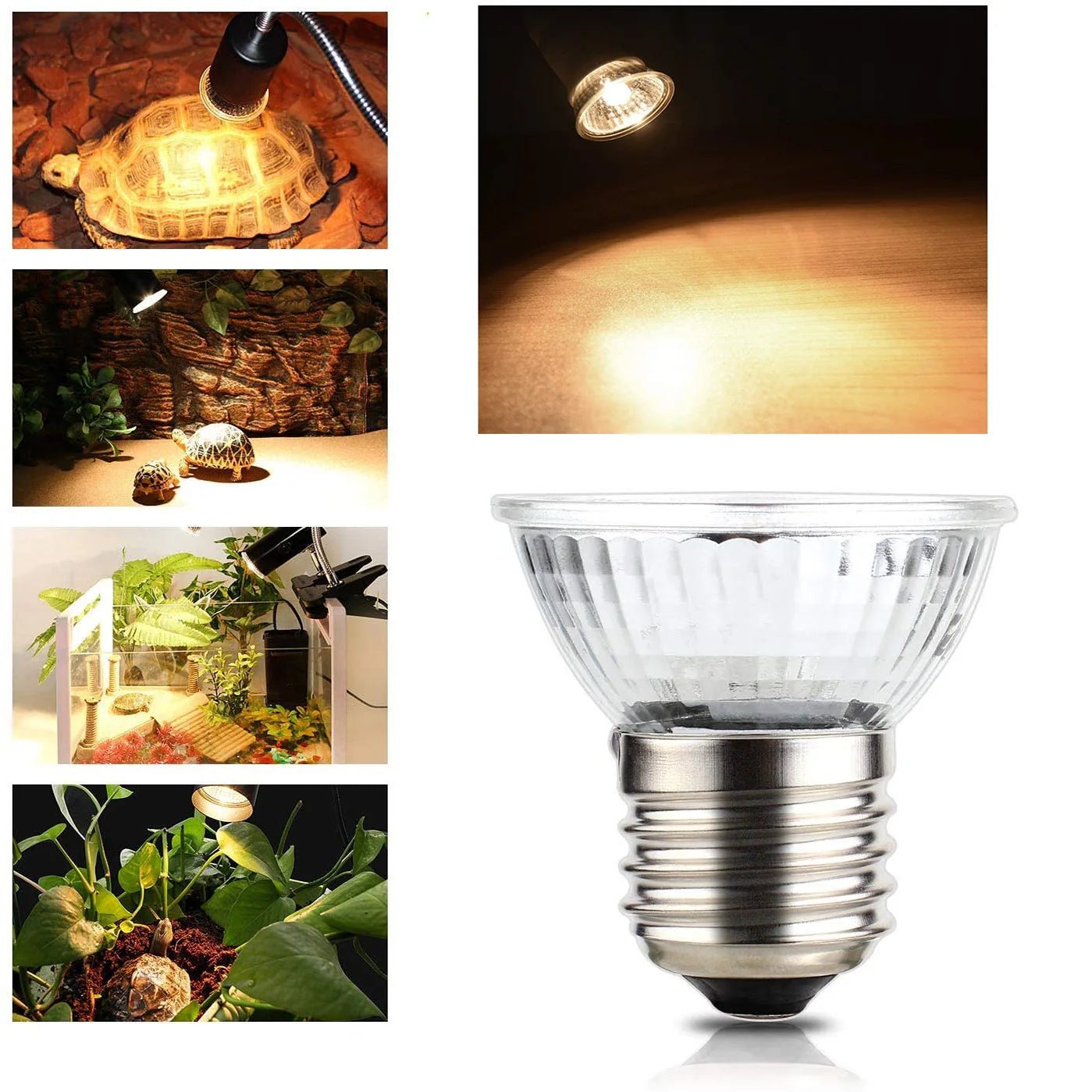 Wholesale Bulk 25/50/75W UVB Reptile Lamp Bulb Tortoise Basking UV E27 Bulbs Amphibians Pet Snake Lizard Heating Sunlamp Calcium Supplement - Furbury