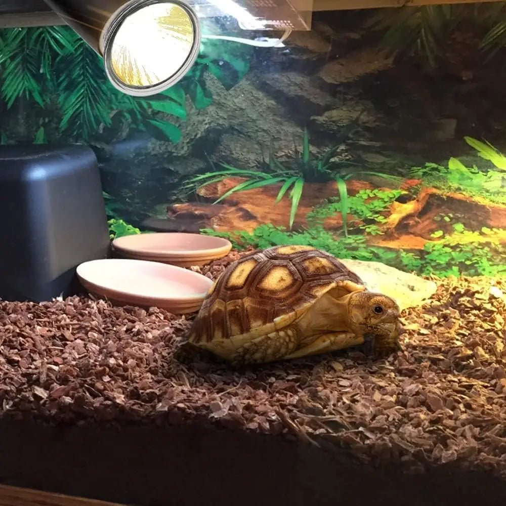 Wholesale Bulk 25/50/75W UVB Reptile Lamp Bulb Tortoise Basking UV E27 Bulbs Amphibians Pet Snake Lizard Heating Sunlamp Calcium Supplement - Furbury