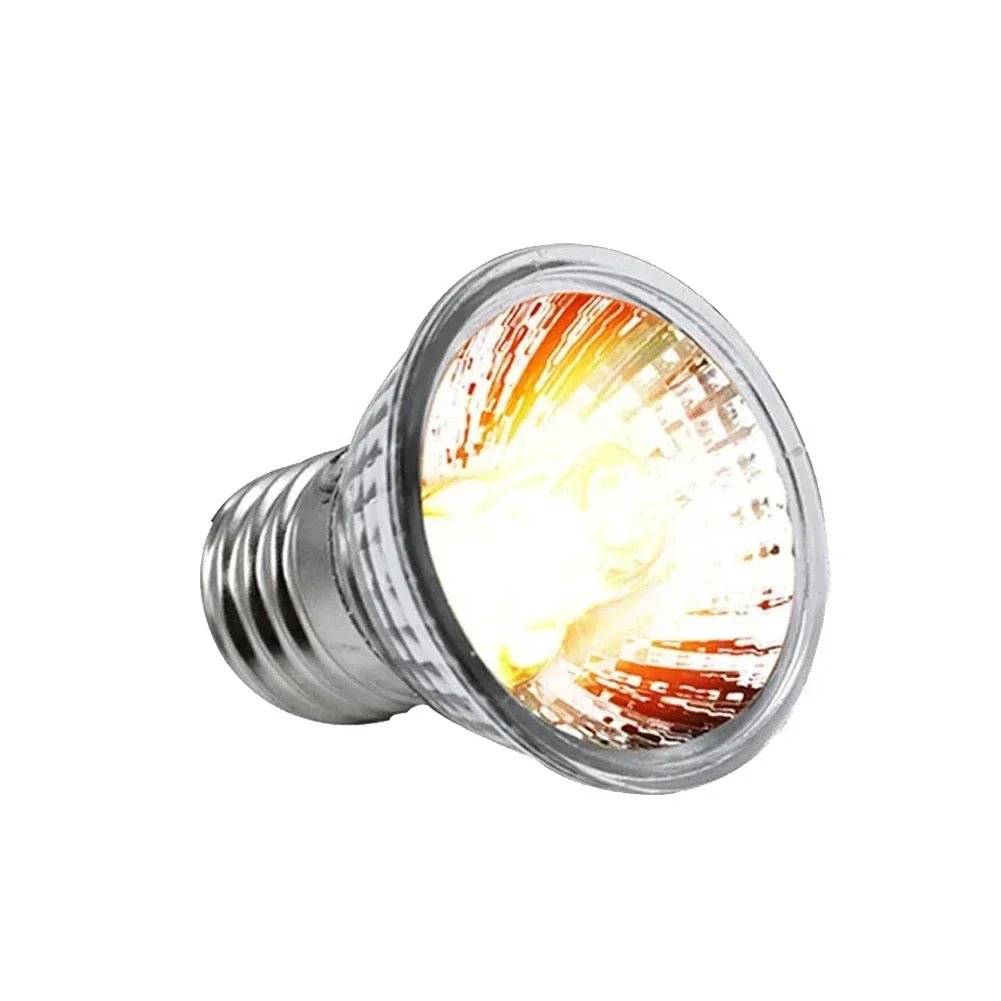 Wholesale Bulk 25/50/75W UVB Reptile Lamp Bulb Tortoise Basking UV E27 Bulbs Amphibians Pet Snake Lizard Heating Sunlamp Calcium Supplement - Furbury