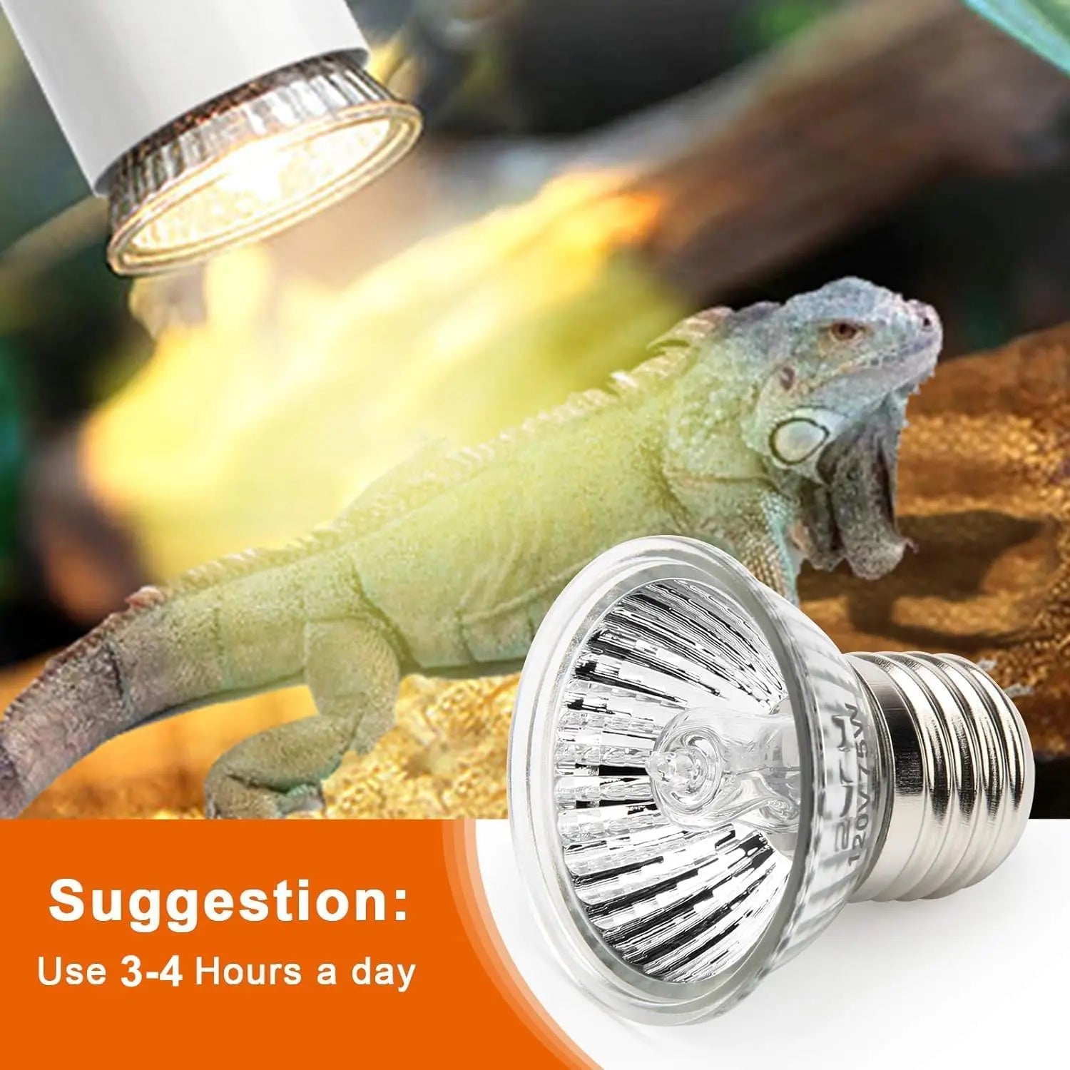 Wholesale Bulk 25/50/75W UVB Reptile Lamp Bulb Tortoise Basking UV E27 Bulbs Amphibians Pet Snake Lizard Heating Sunlamp Calcium Supplement - Furbury