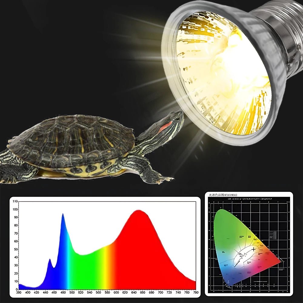 Wholesale Bulk 25/50/75W UVB Reptile Lamp Bulb Tortoise Basking UV E27 Bulbs Amphibians Pet Snake Lizard Heating Sunlamp Calcium Supplement - Furbury