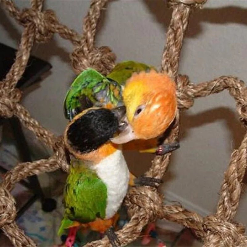Wholesale Bulk 40*40cm Parrot Climbing Net Bird Toy Swing Rope Net Bird Stand Net Hammock With Hook Bird Hanging Climbing Chewing Biting Toys - Furbury