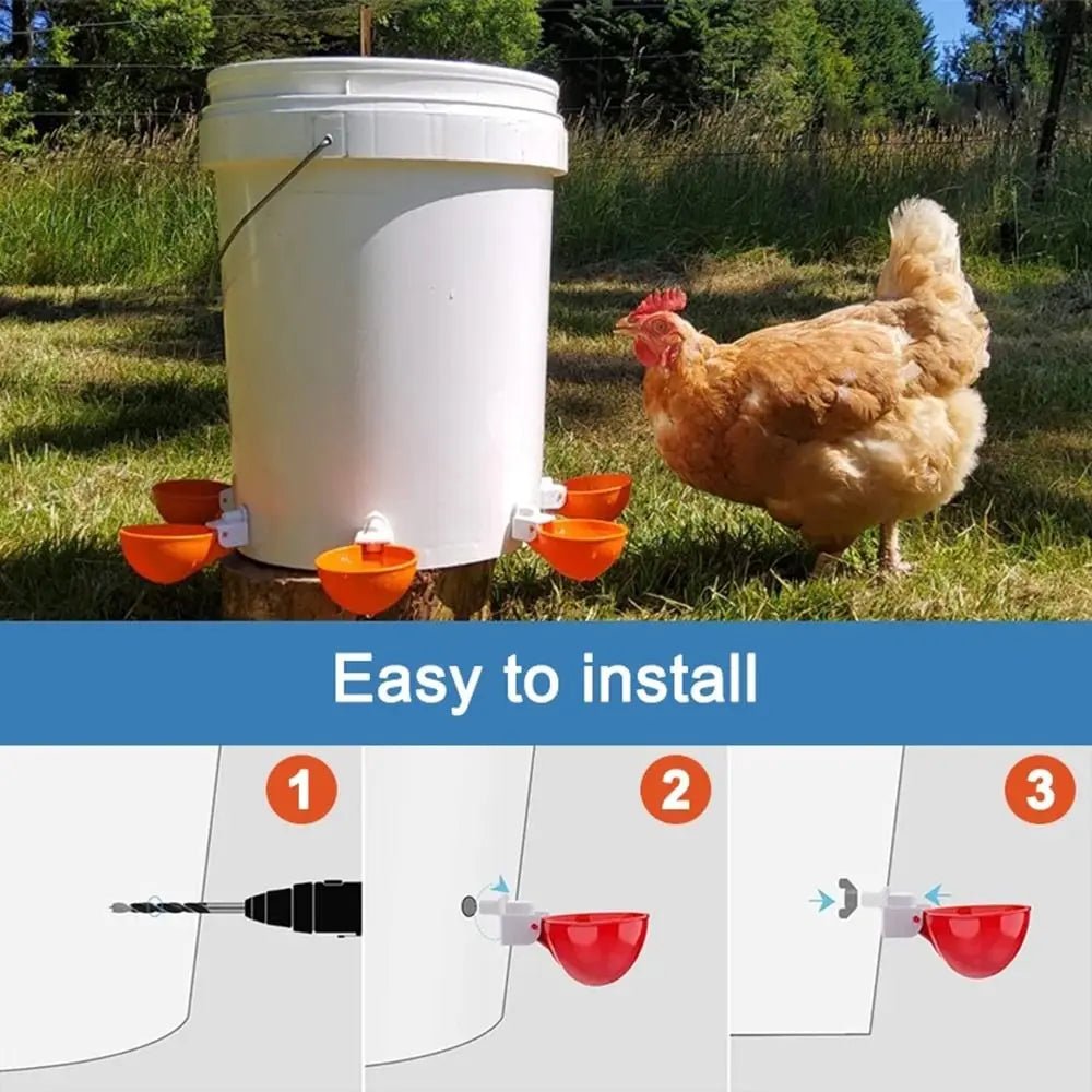 Wholesale Bulk 4PCS Poultry Kit Automatic Chicken Water Feeder Automatic Drinking Bowl Feeding Watering Supplie Chicken Waterer - Furbury