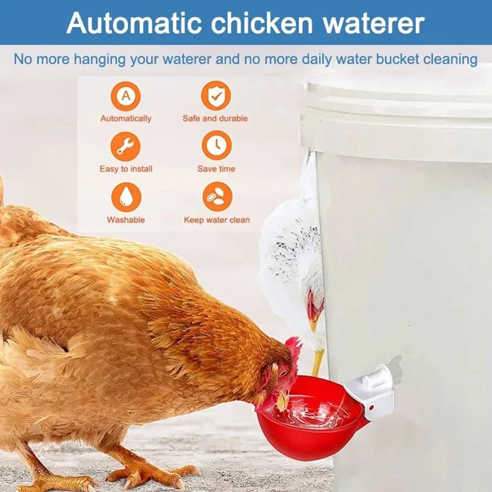 Wholesale Bulk 4PCS Poultry Kit Automatic Chicken Water Feeder Automatic Drinking Bowl Feeding Watering Supplie Chicken Waterer - Furbury