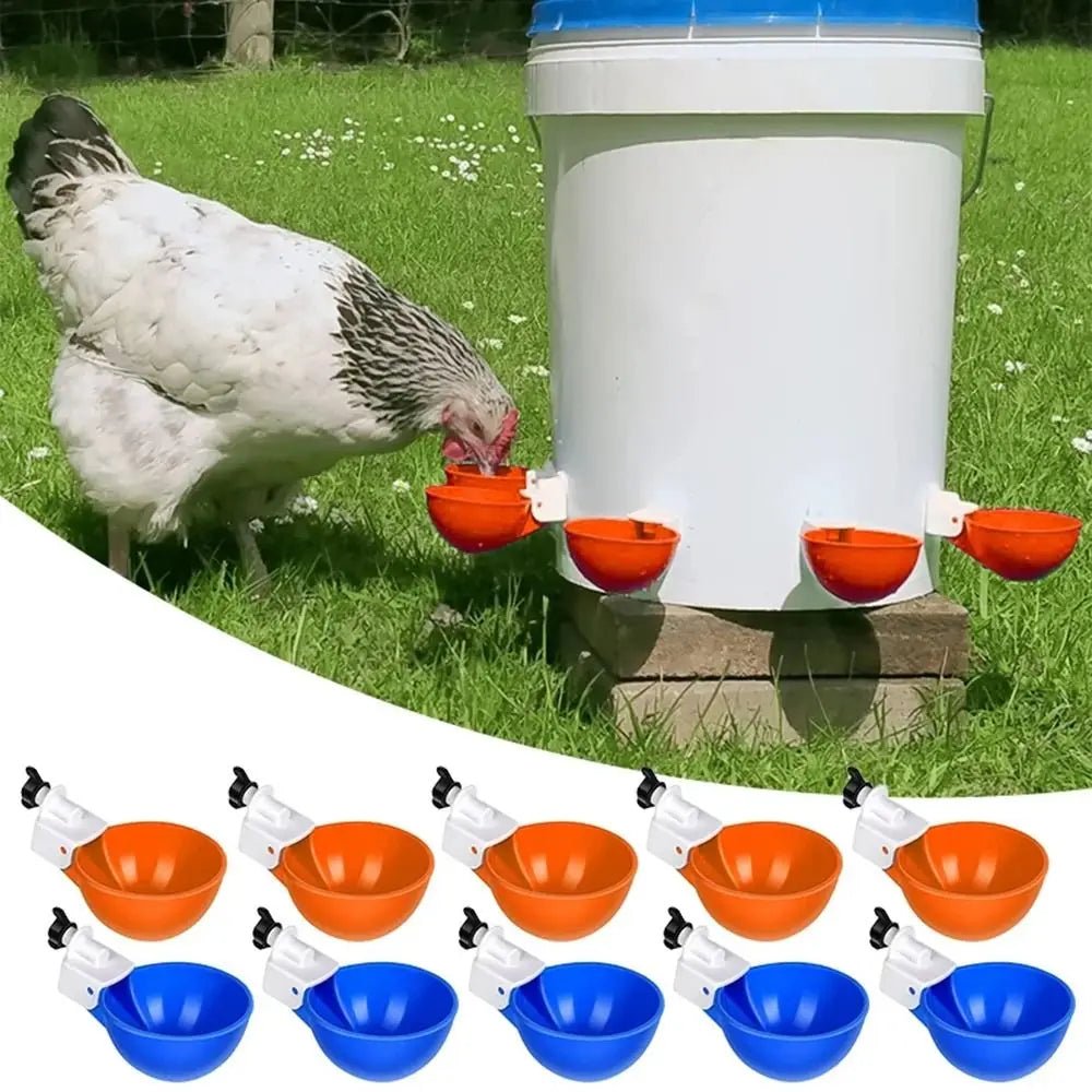 Wholesale Bulk 4PCS Poultry Kit Automatic Chicken Water Feeder Automatic Drinking Bowl Feeding Watering Supplie Chicken Waterer - Furbury