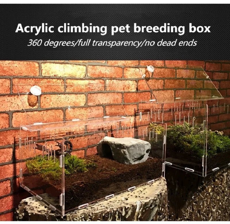 Wholesale Bulk Acrylic Reptile Container Magnetic Acrylic Reptile Cage Acrylic Reptile Breeding Box With Thermometer And Insect Breeding Box - Furbury