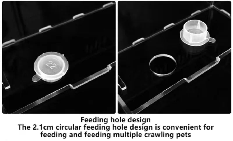 Wholesale Bulk Acrylic Reptile Container Magnetic Acrylic Reptile Cage Acrylic Reptile Breeding Box With Thermometer And Insect Breeding Box - Furbury