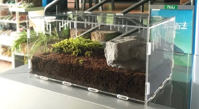 Wholesale Bulk Acrylic Reptile Container Magnetic Acrylic Reptile Cage Acrylic Reptile Breeding Box With Thermometer And Insect Breeding Box - Furbury