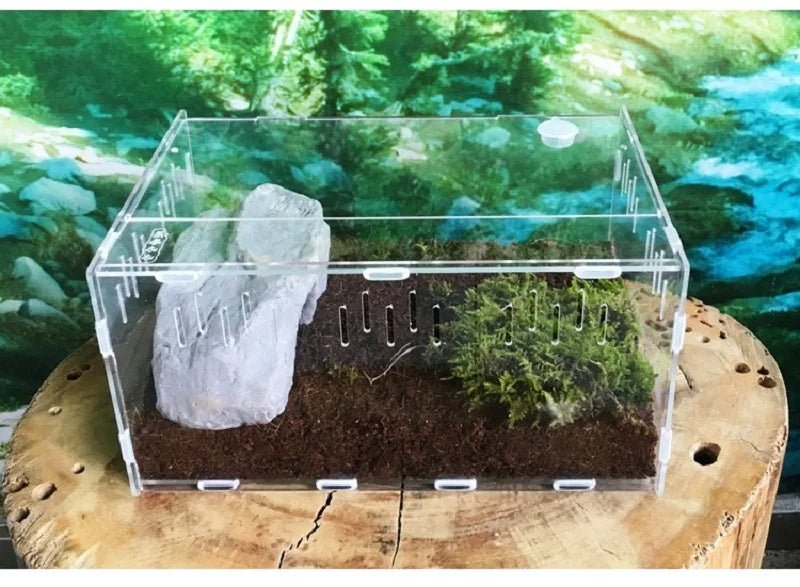 Wholesale Bulk Acrylic Reptile Container Magnetic Acrylic Reptile Cage Acrylic Reptile Breeding Box With Thermometer And Insect Breeding Box - Furbury