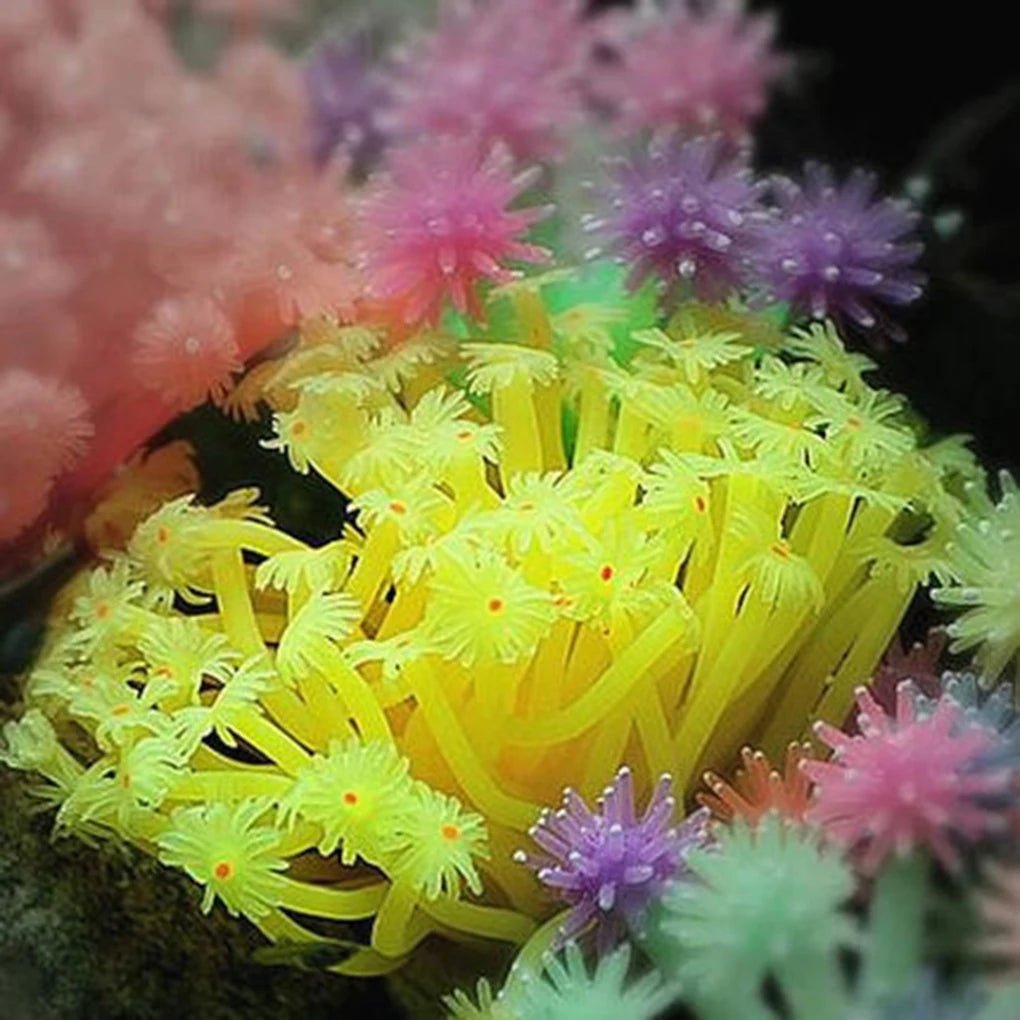 Wholesale Bulk Artificial Sea Anemone Aquarium Decoration Imitated Coral Ornaments Underwater Aquatic Decor For Fish Tank Aquarium Decoration - Furbury