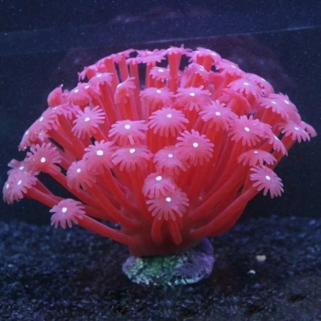 Wholesale Bulk Artificial Sea Anemone Aquarium Decoration Imitated Coral Ornaments Underwater Aquatic Decor For Fish Tank Aquarium Decoration - Furbury