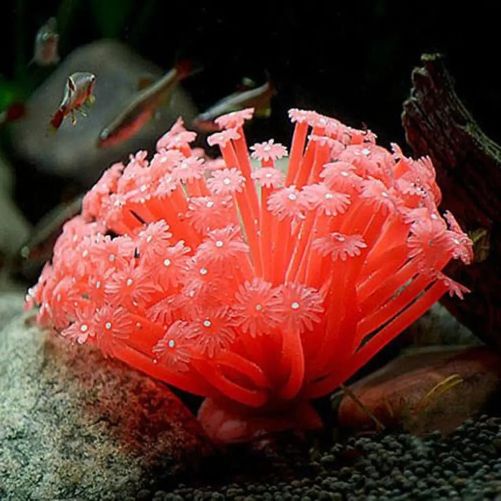 Wholesale Bulk Artificial Sea Anemone Aquarium Decoration Imitated Coral Ornaments Underwater Aquatic Decor For Fish Tank Aquarium Decoration - Furbury