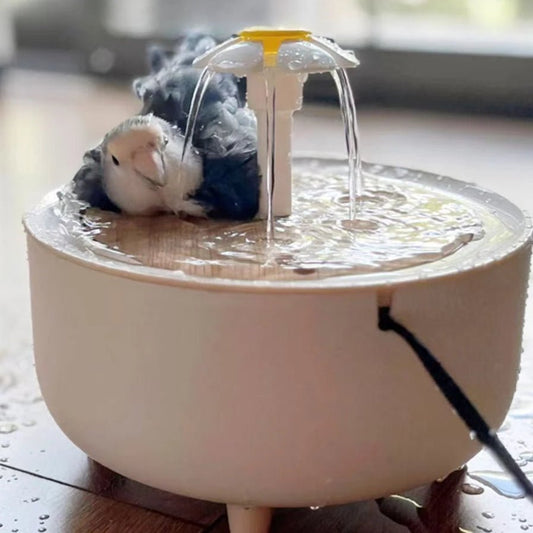 Wholesale Bulk Auto Circulating 2 - in - 1 Parrot Bath & Pet Water Fountain, Drip - Free Design for Small Pets, USB Powered - Furbury