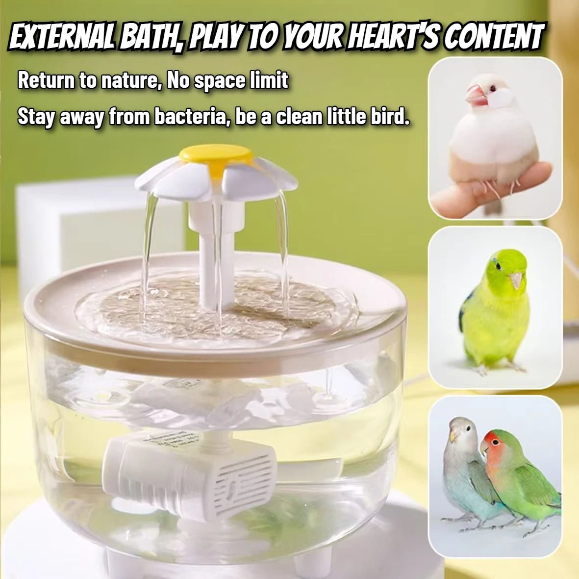 Wholesale Bulk Auto Circulating 2 - in - 1 Parrot Bath & Pet Water Fountain, Drip - Free Design for Small Pets, USB Powered - Furbury