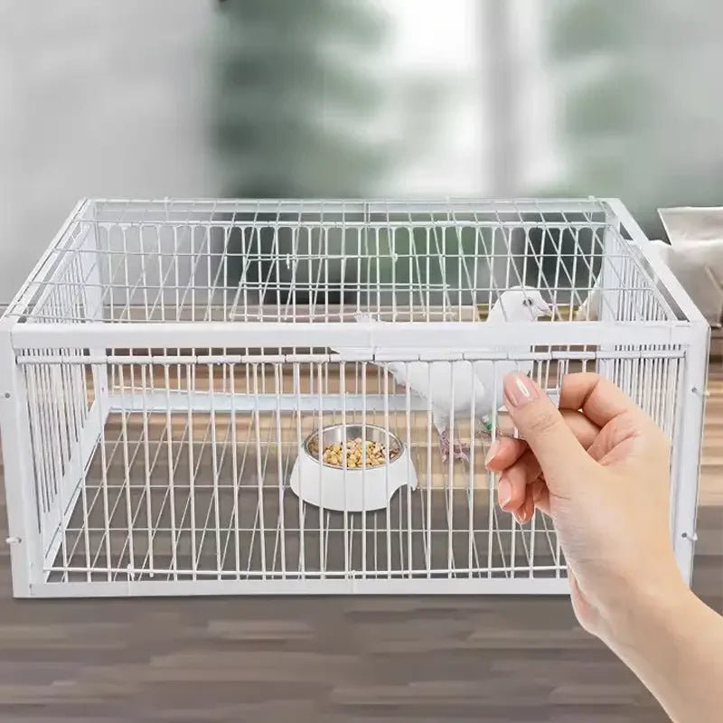 Wholesale Bulk Auto Trap Bird Cage Rabbit Cage Mouse Cage Entry Only and No Exit Thickened and Encrypted Automatic Pigeon Collecting Tool - Furbury