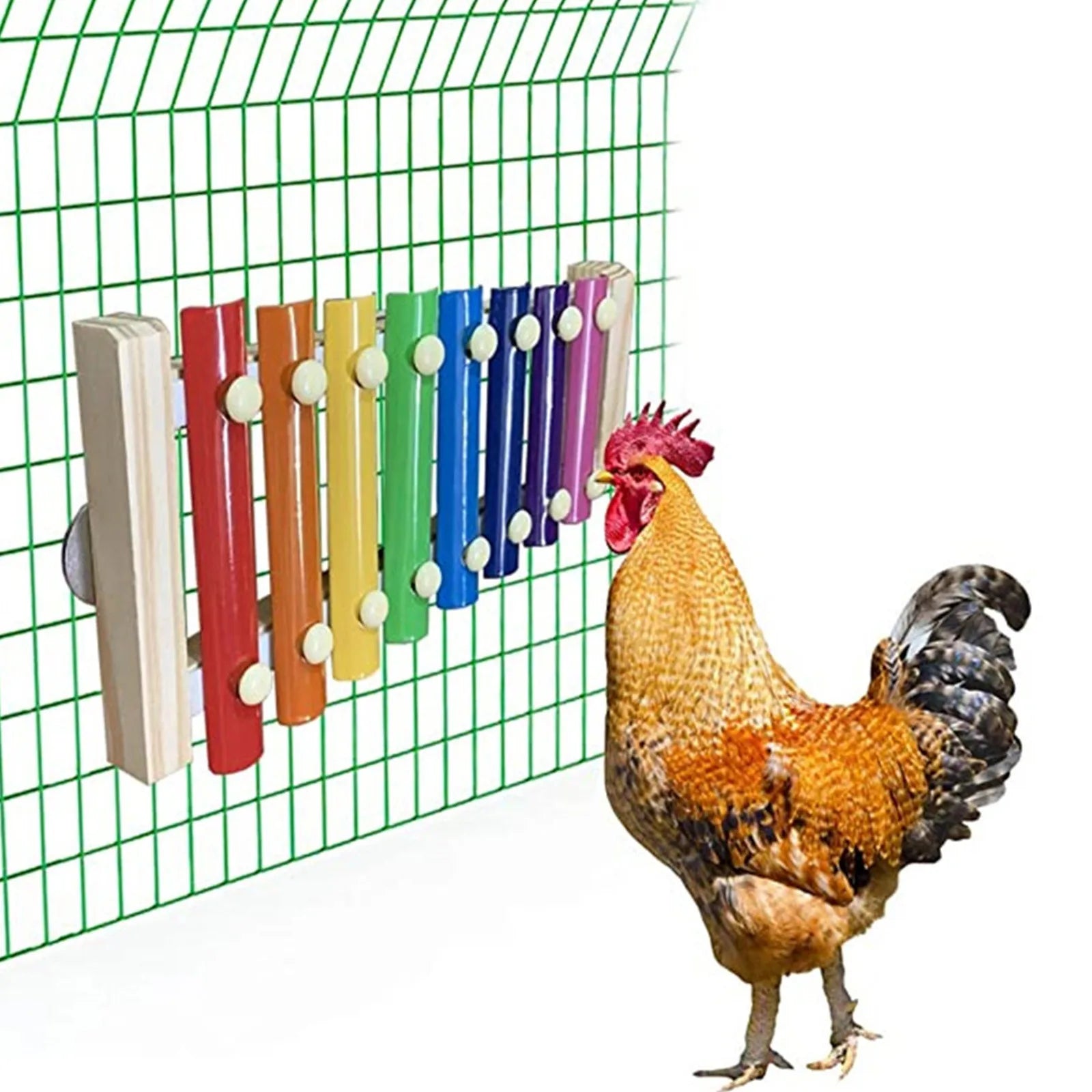 Wholesale Bulk Bird Chicken Xylophone Toy Wooden Suspensible Bird Cage Accessories Musical Toy with 8 Keys for Chicken Bird Parrot Macaw Hens - Furbury