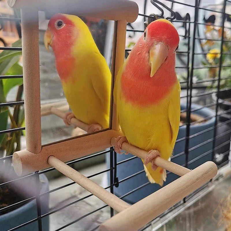 Wholesale Bulk Bird Mirror Wooden Interactive Play Toy With Perch For Small Parrot Budgies Parakeet Cockatiel Conure Lovebird Cage Accessories - Furbury