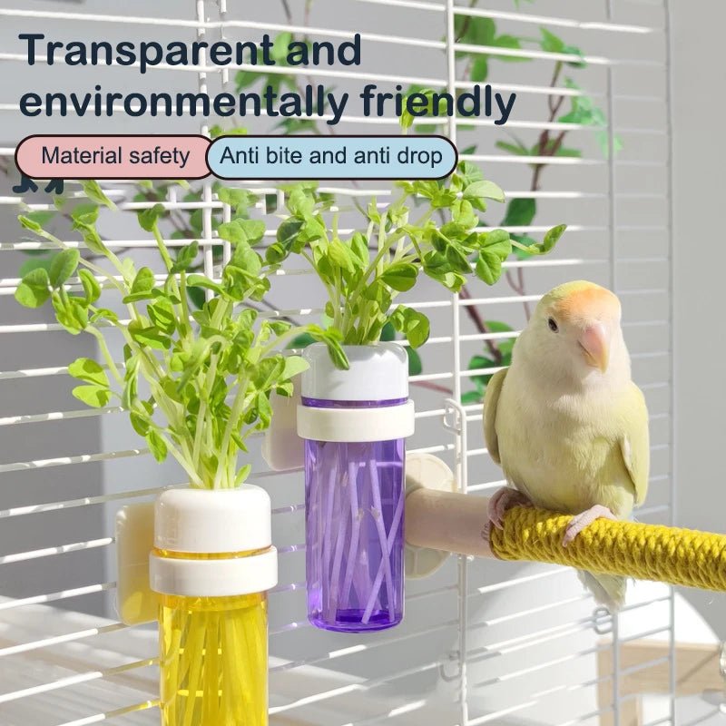 Wholesale Bulk Bird Parrot Feeder Cage Vegetable Holder Preservation Jar Cage Accessories Hanging Basket Container Toys Budgie Cage Supplies - Furbury