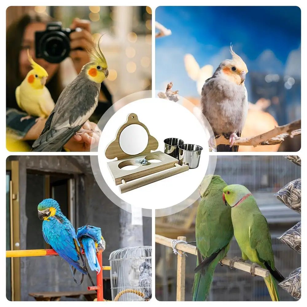 Wholesale Bulk Bird Perches For Parrots Parakeet Standing Branch Bird Parrot Perch With Mirror And Feeding Cups Cage Play Toy For Lovebird - Furbury