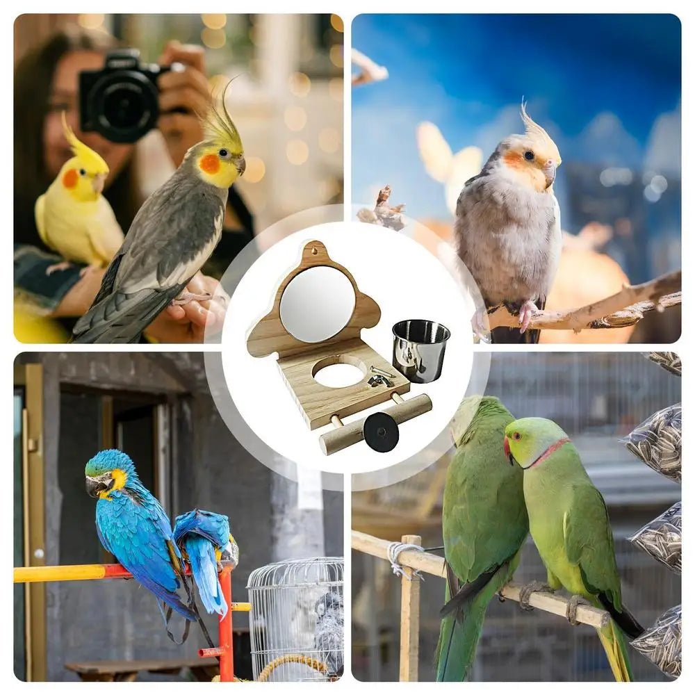 Wholesale Bulk Bird Perches For Parrots Parakeet Standing Branch Bird Parrot Perch With Mirror And Feeding Cups Cage Play Toy For Lovebird - Furbury