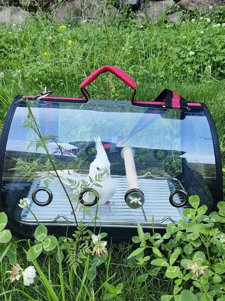 Wholesale Bulk Bird Transport Cage Bird Travel Carrier with Perch Breathable Space Parrot Go Out Backpack Multi - functional Bird bag Outdoor - Furbury