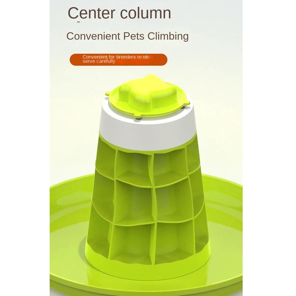 Wholesale Bulk Breathable Snails Breeding Tank Transparent with Handle Reptile Observing Box Prevents Escape Removable Insect Feeding Bin - Furbury