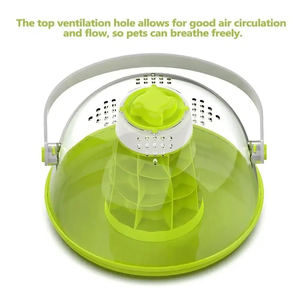 Wholesale Bulk Breathable Snails Breeding Tank Transparent with Handle Reptile Observing Box Prevents Escape Removable Insect Feeding Bin - Furbury