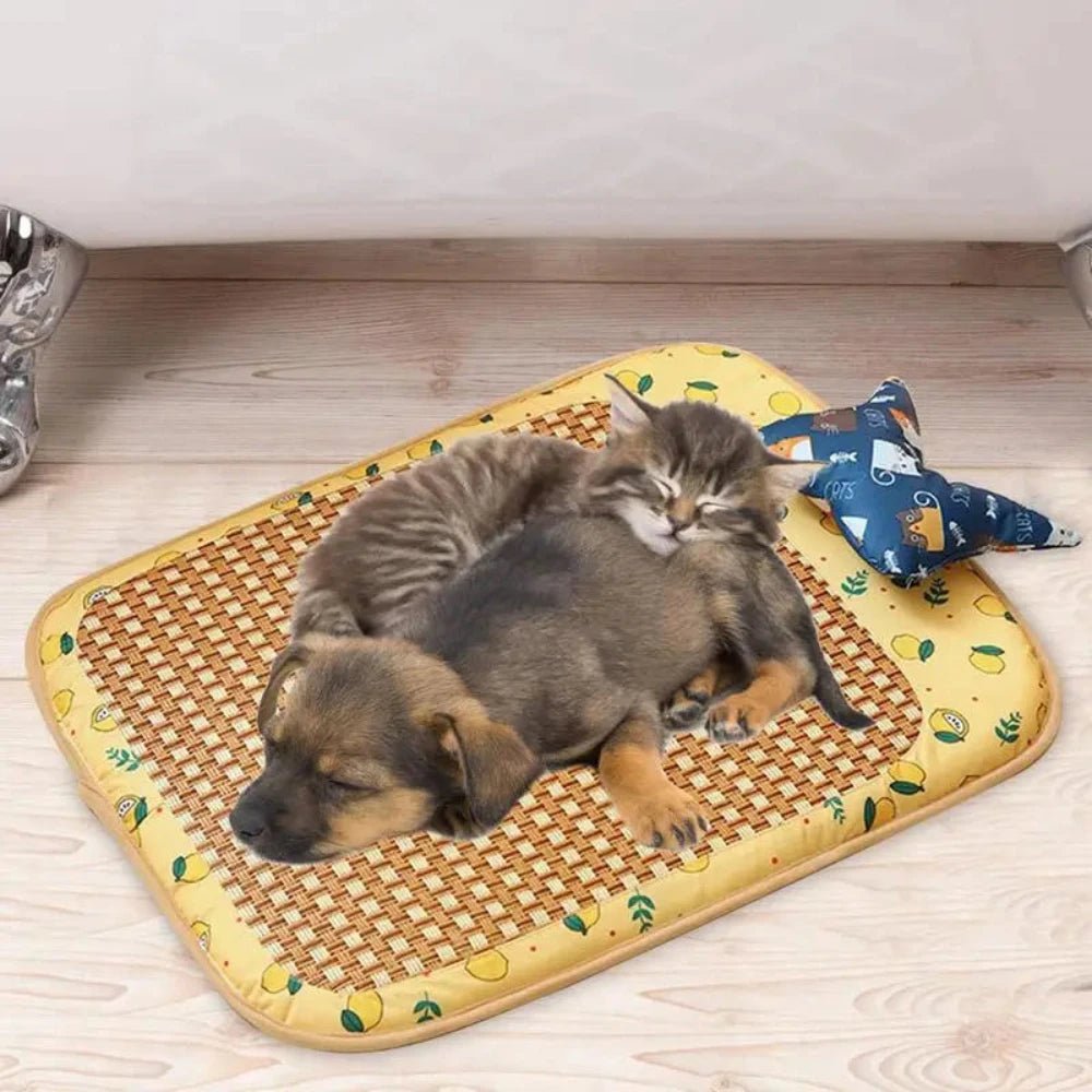 Wholesale Bulk Cat Dog Summer Rattan Pad With Pillow Bite - resistant Ice Pad Pet Supplies Square Pet Sleeping Bed Bite Resistant Waterproof - Furbury