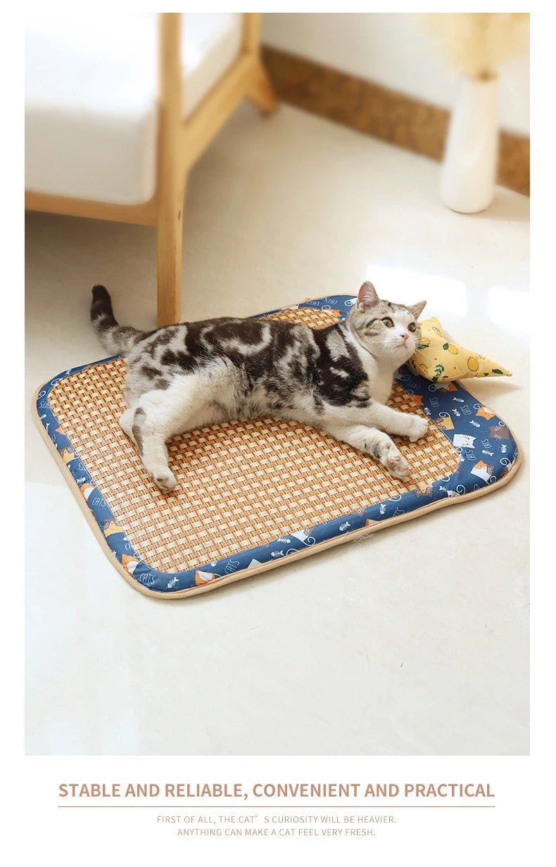 Wholesale Bulk Cat Dog Summer Rattan Pad With Pillow Bite - resistant Ice Pad Pet Supplies Square Pet Sleeping Bed Bite Resistant Waterproof - Furbury