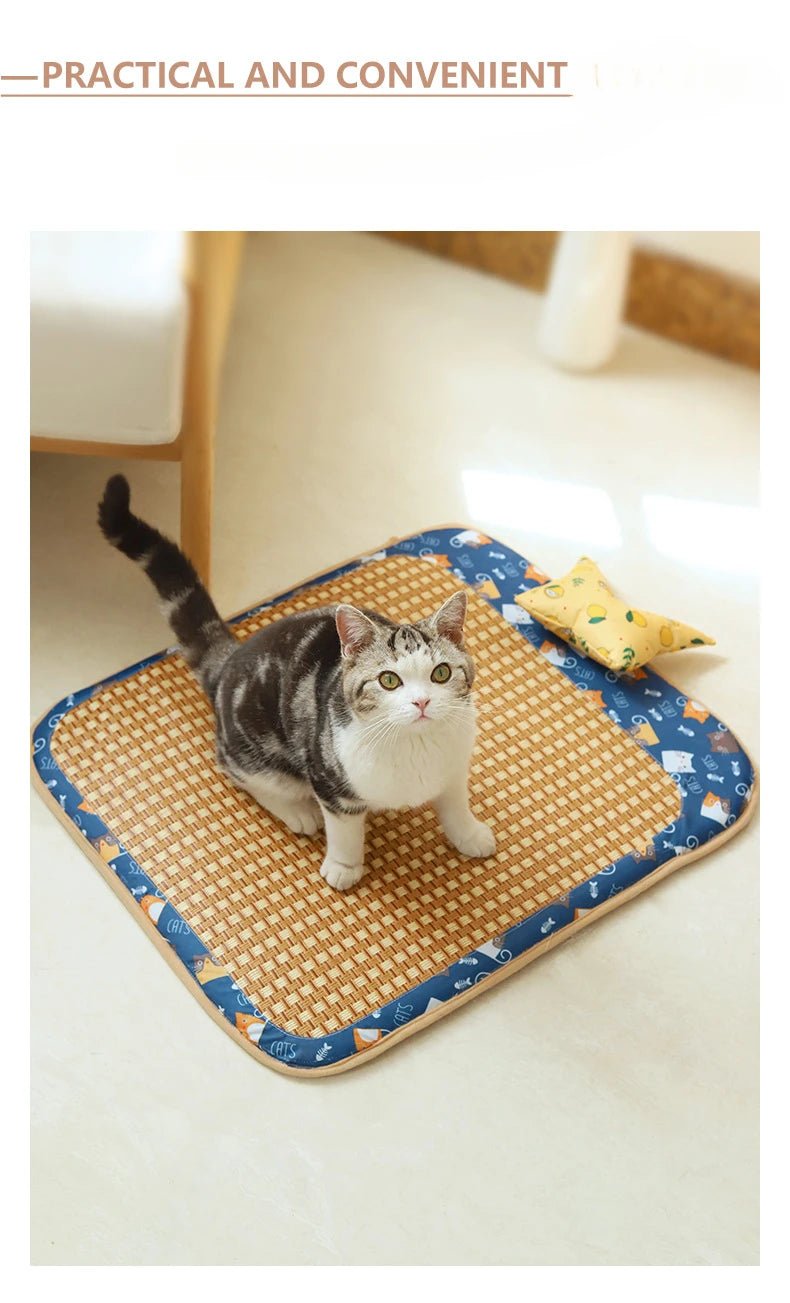 Wholesale Bulk Cat Dog Summer Rattan Pad With Pillow Bite - resistant Ice Pad Pet Supplies Square Pet Sleeping Bed Bite Resistant Waterproof - Furbury