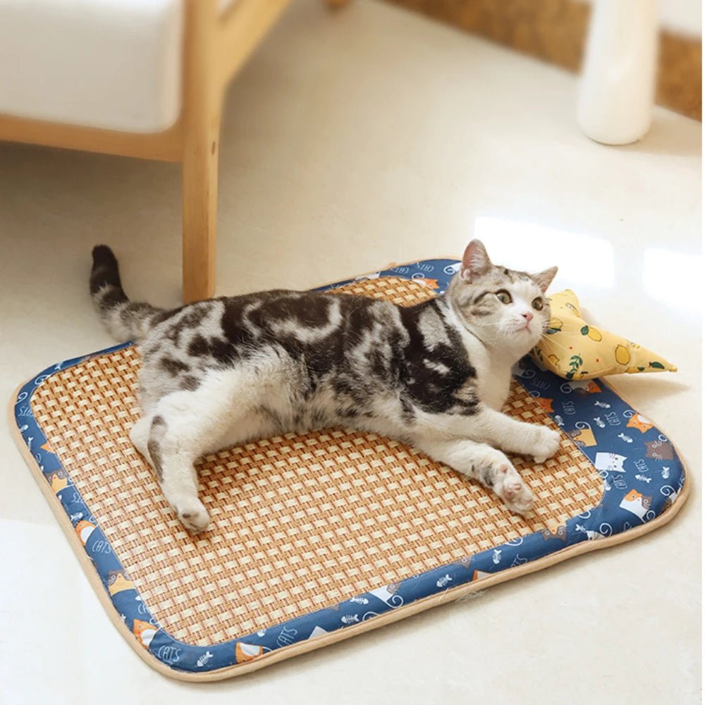 Wholesale Bulk Cat Dog Summer Rattan Pad With Pillow Bite - resistant Ice Pad Pet Supplies Square Pet Sleeping Bed Bite Resistant Waterproof - Furbury