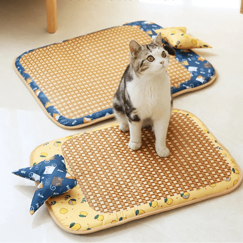 Wholesale Bulk Cat Dog Summer Rattan Pad With Pillow Bite - resistant Ice Pad Pet Supplies Square Pet Sleeping Bed Bite Resistant Waterproof - Furbury