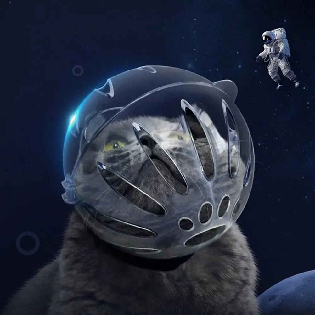 Wholesale Bulk Cat Muzzle Boots Set Anti Bite Breathable Space Hood Clear Cats Helmet With Paw Cover Portable Astronaut Helmet For Grooming  - Furbury