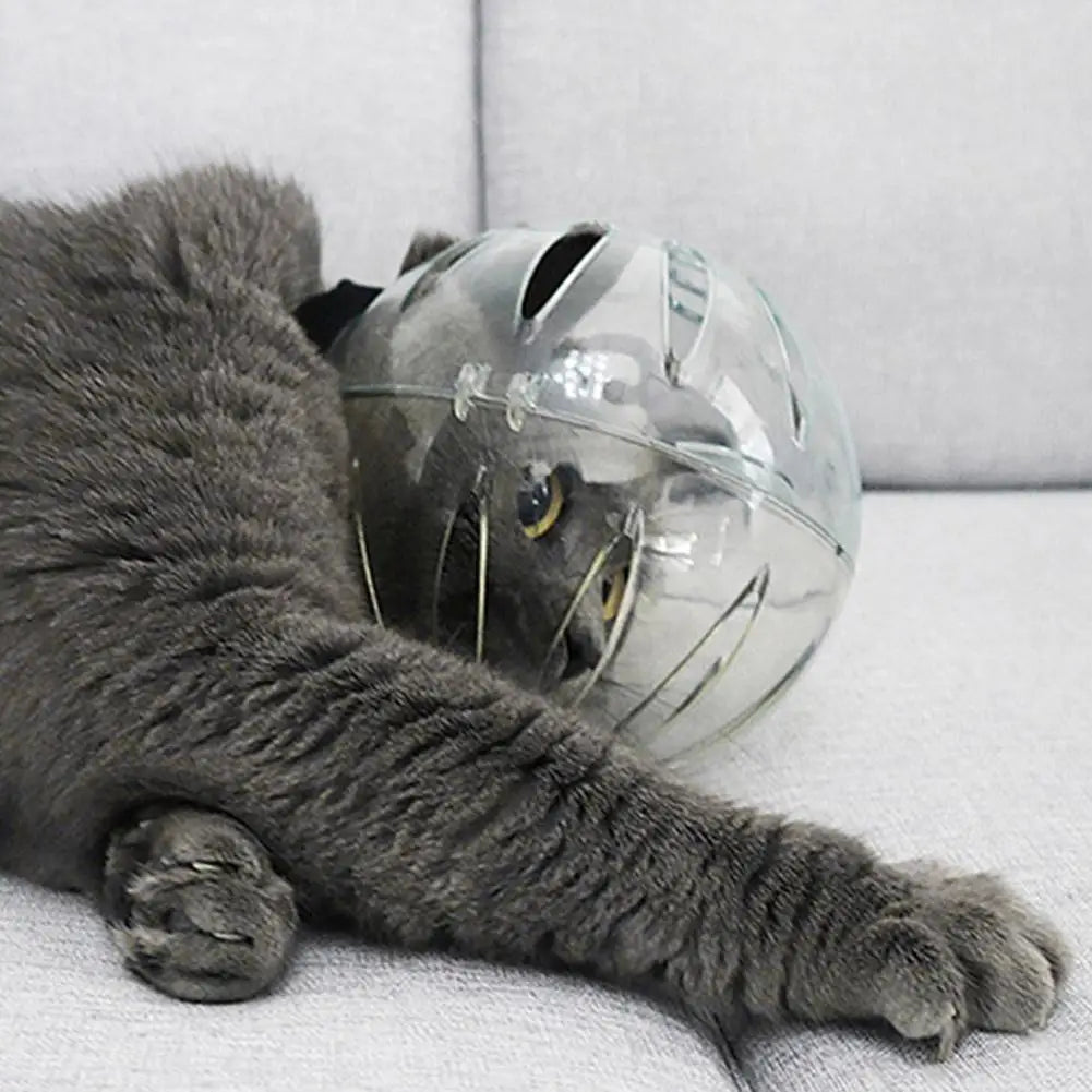 Wholesale Bulk Cat Muzzle Boots Set Anti Bite Breathable Space Hood Clear Cats Helmet With Paw Cover Portable Astronaut Helmet For Grooming  - Furbury