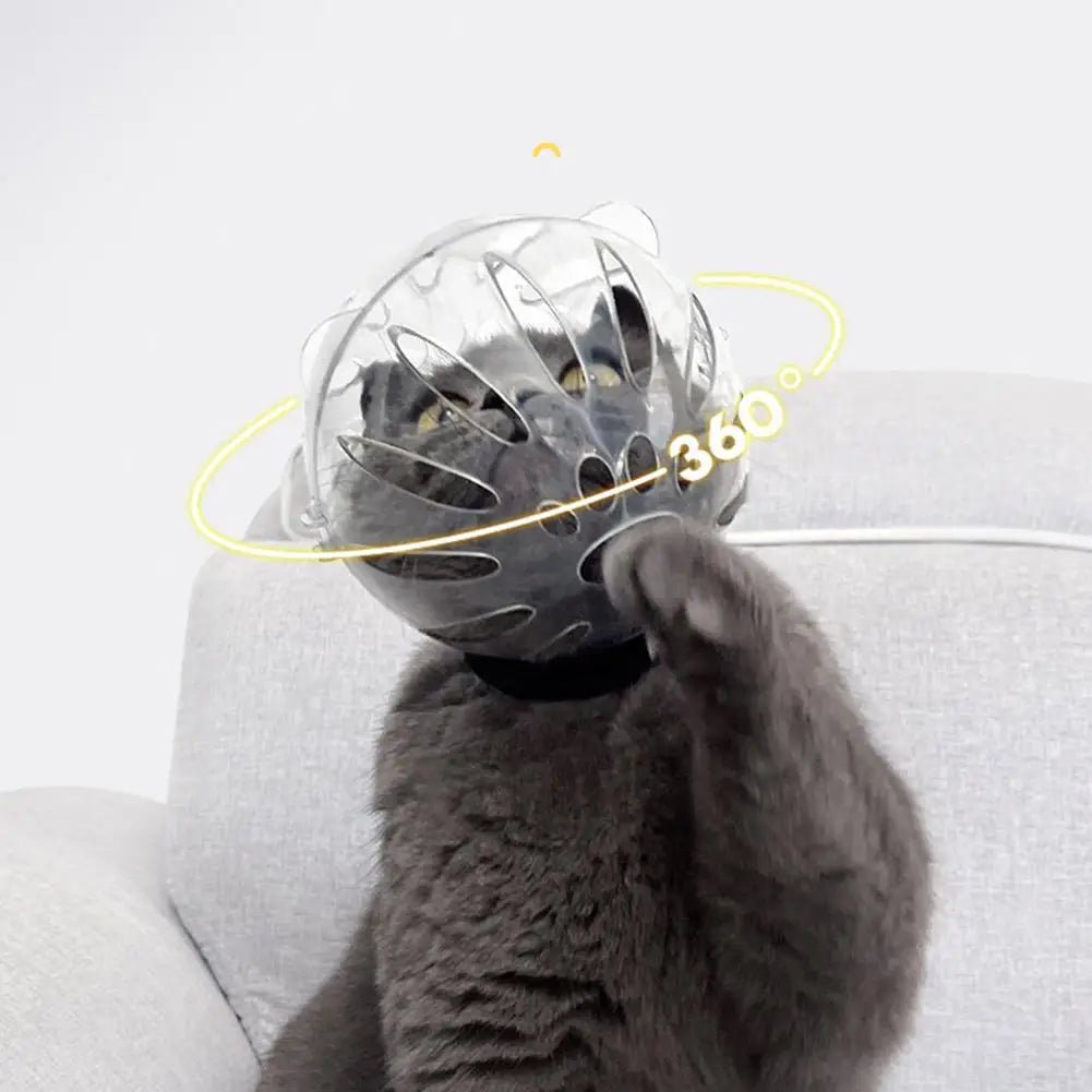 Wholesale Bulk Cat Muzzle Boots Set Anti Bite Breathable Space Hood Clear Cats Helmet With Paw Cover Portable Astronaut Helmet For Grooming  - Furbury