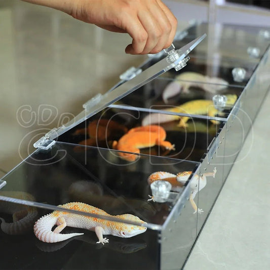 Wholesale Bulk Custom Acrylic Reptile Displays Cage Designing and Manufacturing Premium Reptile Snake Products Acrylic Stand Display Expo - Furbury