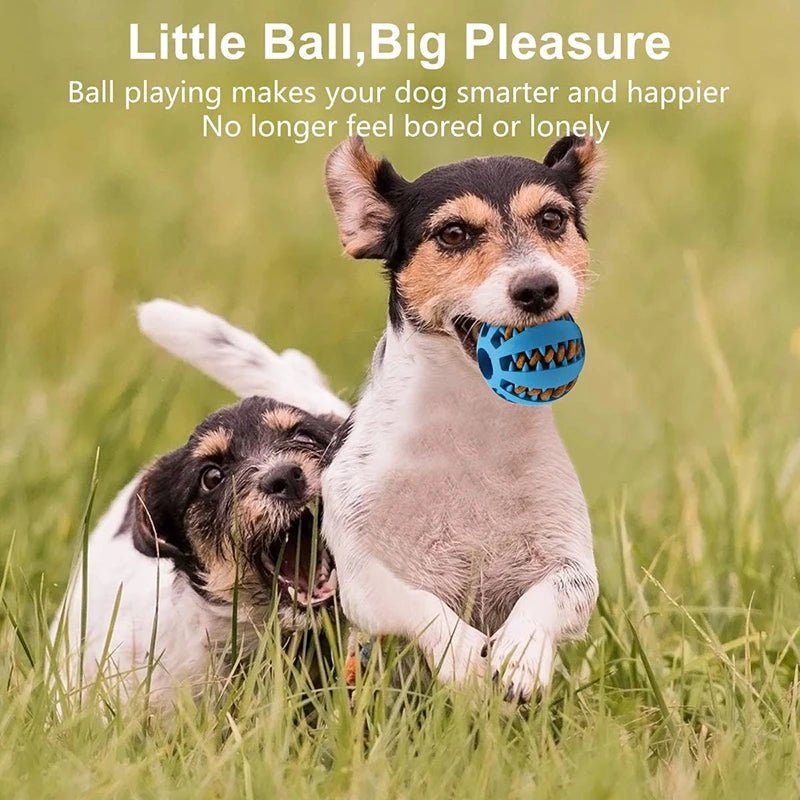 Wholesale Bulk Dog Ball Toys for Small Dogs Interactive Elasticity Puppy Chew Toy Tooth Cleaning Rubber Food Ball Toy Pet Stuff Accessories - Furbury