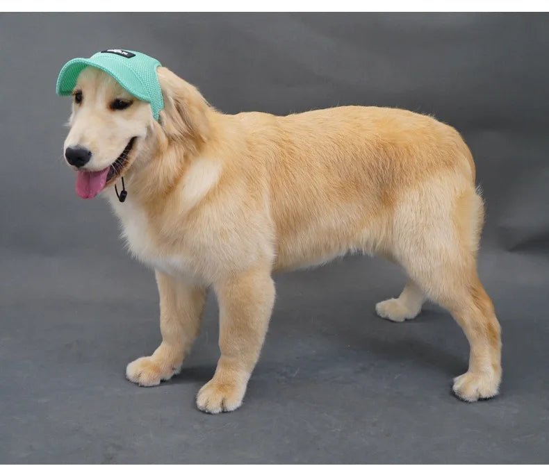 Wholesale Bulk Dog Baseball Cap Mesh Pet Dog Hat Breathable for Small Medium Dogs Ear Holes Adjustable Dog Hat Pet Accessories - Furbury