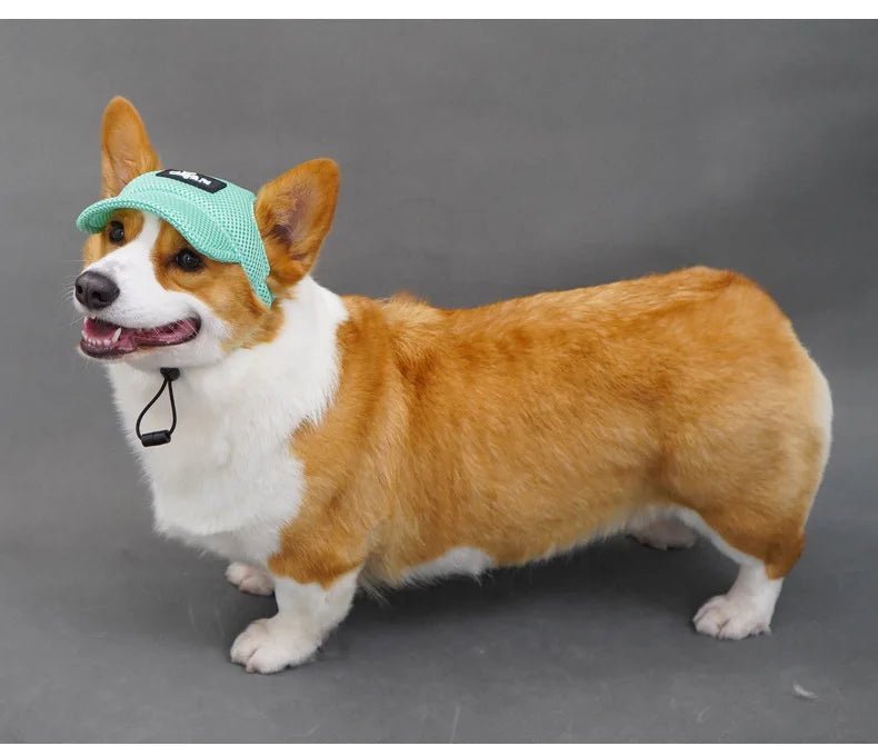 Wholesale Bulk Dog Baseball Cap Mesh Pet Dog Hat Breathable for Small Medium Dogs Ear Holes Adjustable Dog Hat Pet Accessories - Furbury