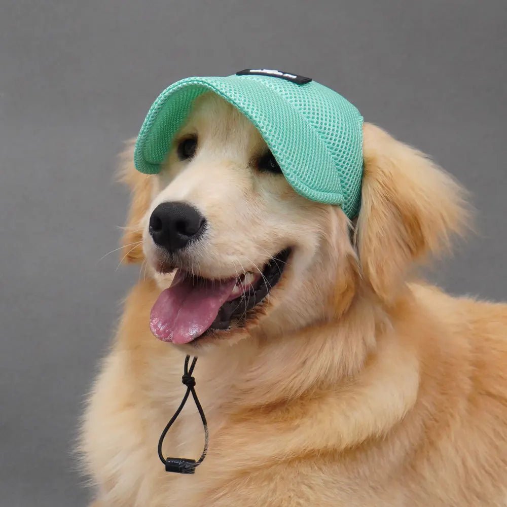 Wholesale Bulk Dog Baseball Cap Mesh Pet Dog Hat Breathable for Small Medium Dogs Ear Holes Adjustable Dog Hat Pet Accessories - Furbury