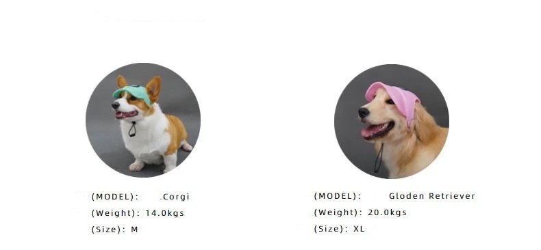 Wholesale Bulk Dog Baseball Cap Mesh Pet Dog Hat Breathable for Small Medium Dogs Ear Holes Adjustable Dog Hat Pet Accessories - Furbury