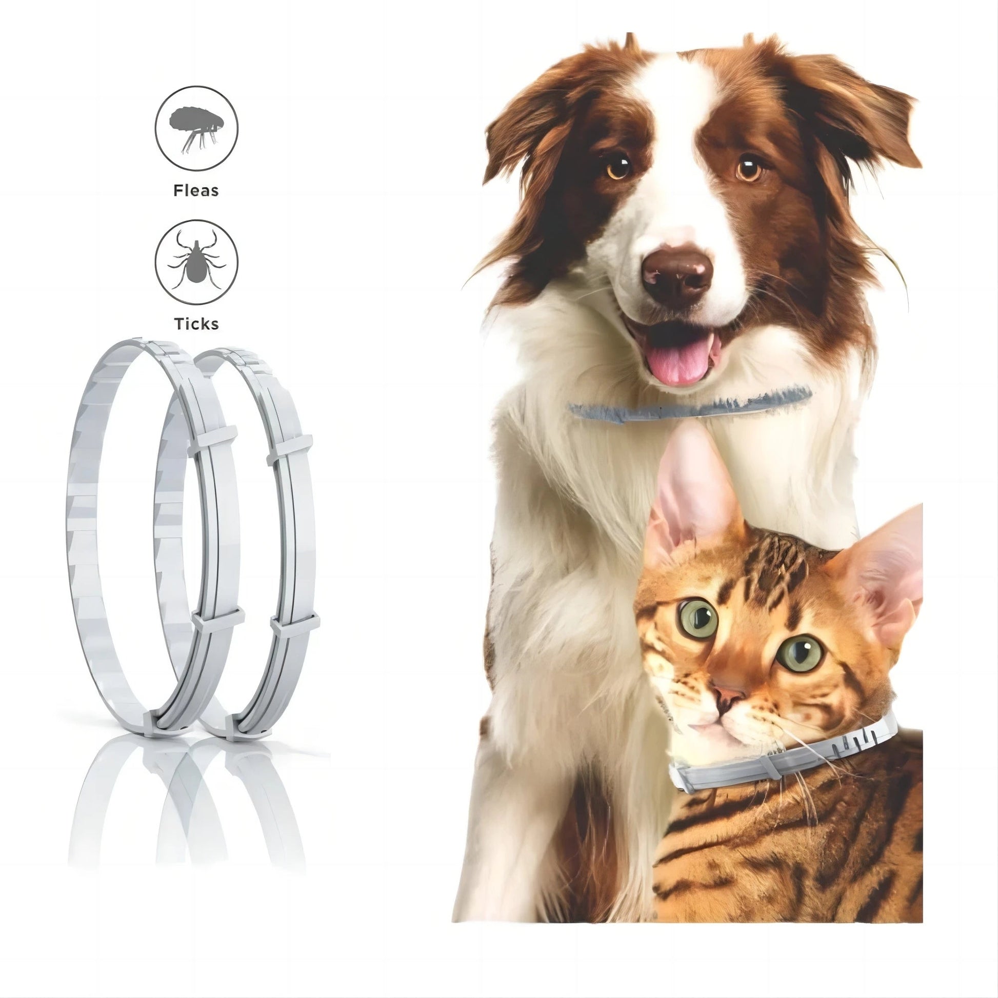 Wholesale Bulk Dog Collar Puppy Cat 70cm 38cm For Small Dogs Cats Collar Pet Items Accessories Dropshipping Suppliers - Furbury