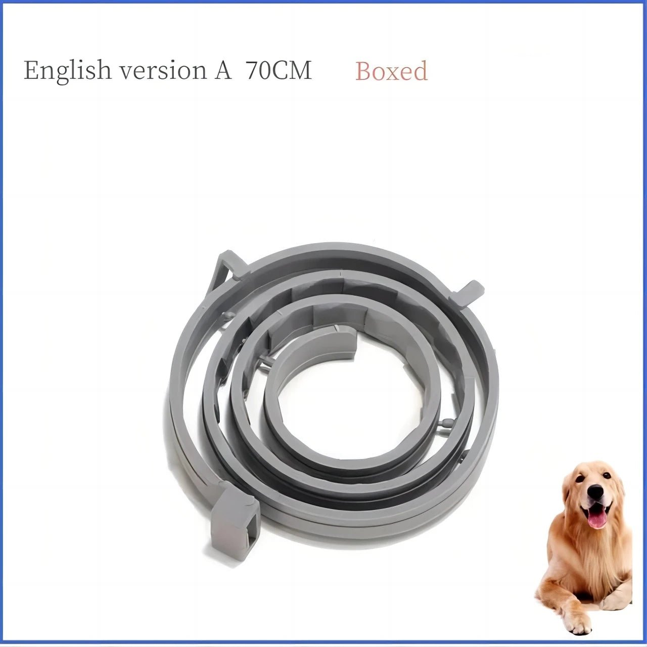 Wholesale Bulk Dog Collar Puppy Cat 70cm 38cm For Small Dogs Cats Collar Pet Items Accessories Dropshipping Suppliers - Furbury