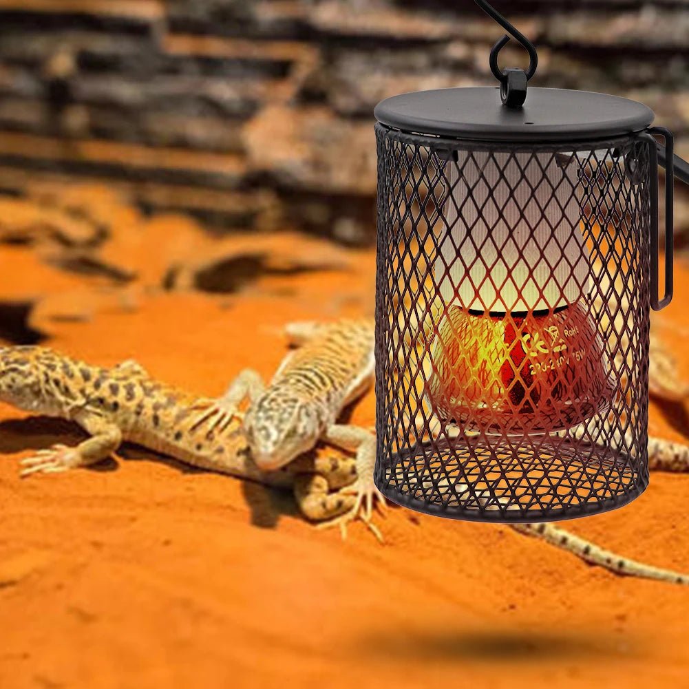 Wholesale Bulk E27 Pet Heating Lamp for Turtle Snake lizard Infrared Ceramic Emitter Heat Light 50W/75W/100W Reptile Lamp Reptile Light EU Plug - Furbury