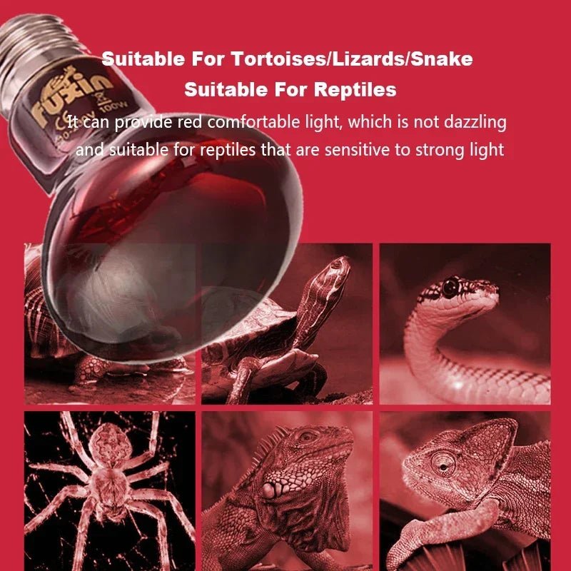 Wholesale Bulk E27 Reptile Heat Lamp 25 - 100W Amphibious Uva Red Heating Bulb Lizards Snakes Spiders Reptiles Breeding Tank Lighting Supplies - Furbury